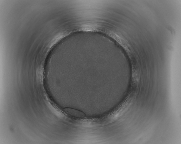 X0000111800530200908061200