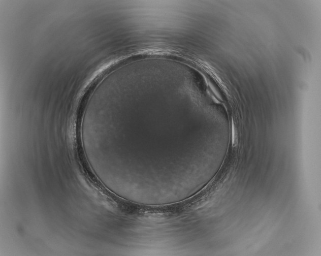 X0000111800531200908061200