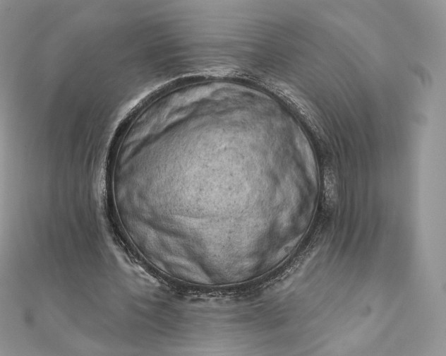 X0000111800532200908061200