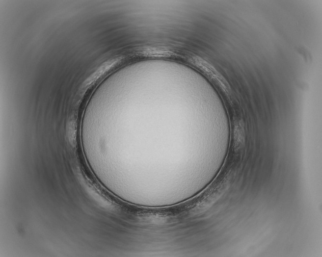 X0000111800533200908061200