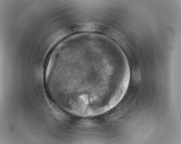 X0000111800534200908061200