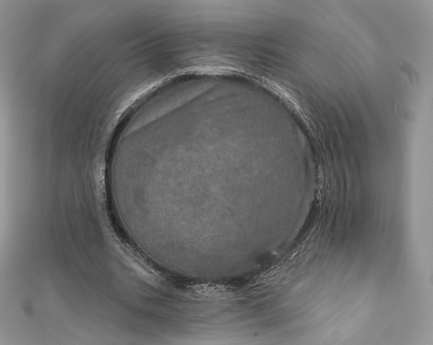 X0000111800535200908061200