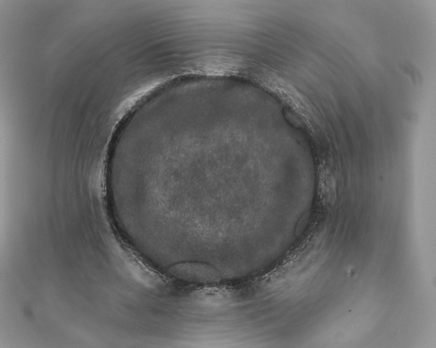 X0000111800536200908061200