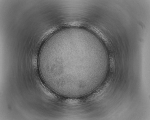 X0000111800537200908061200