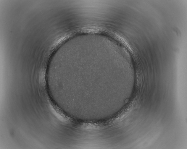 X0000111800538200908061200