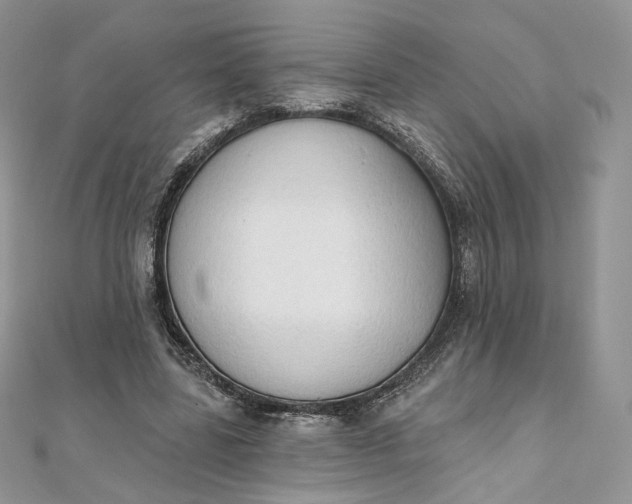X0000111800539200908061200