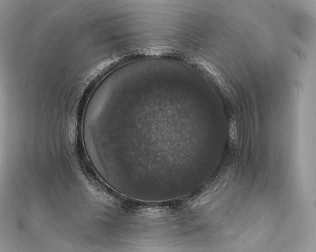 X0000111800540200908061200