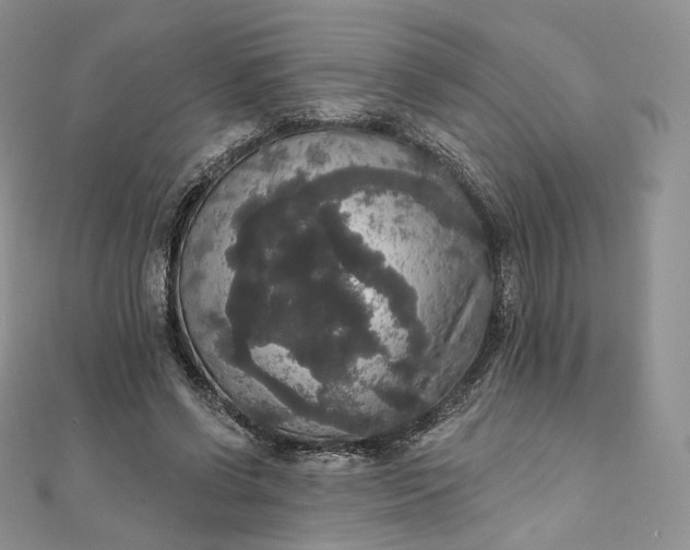 X0000111800542200908061200