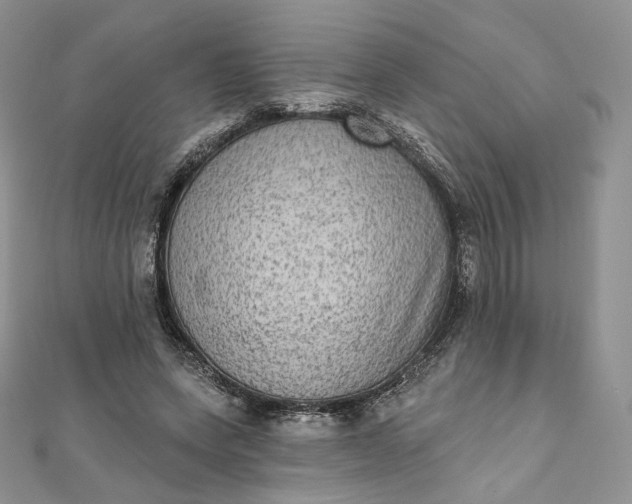 X0000111800543200908061200