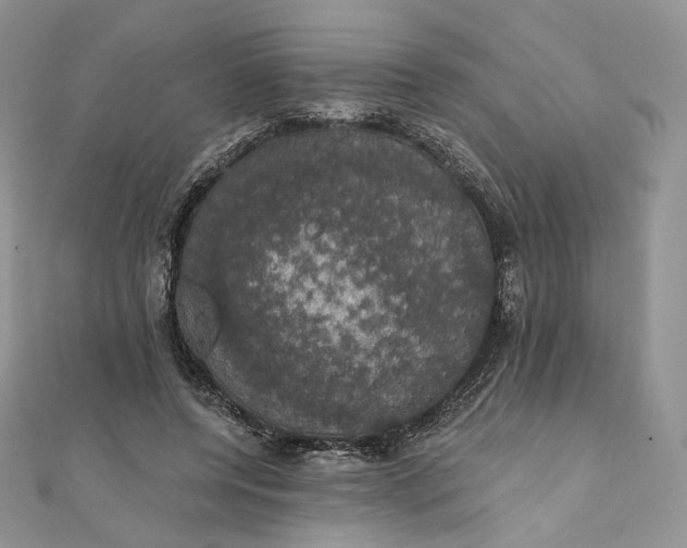 X0000111800544200908061200