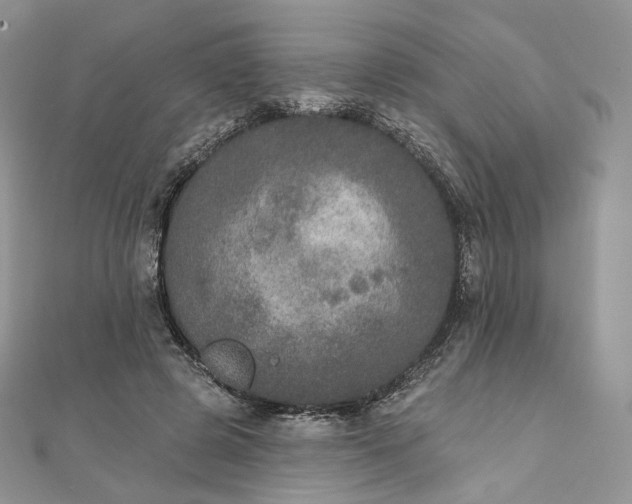 X0000111800545200908061200