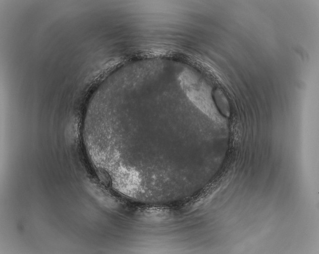 X0000111800546200908061200