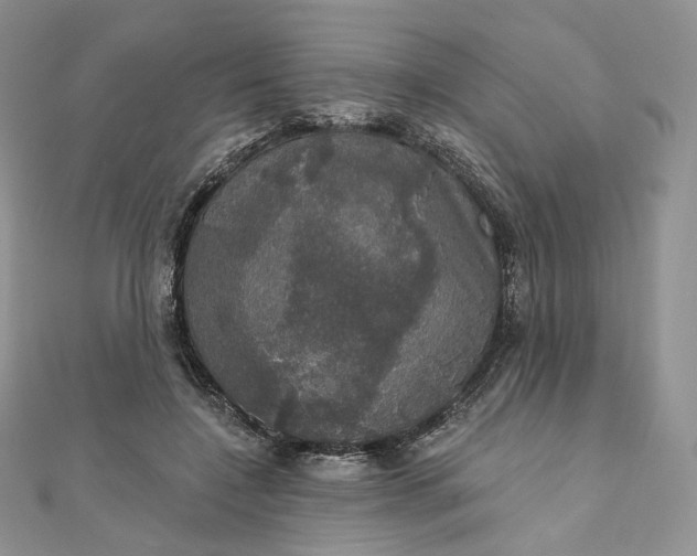 X0000111800548200908061200