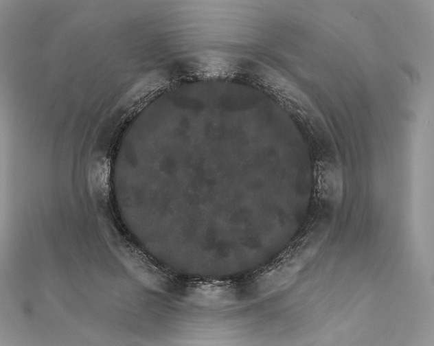 X0000111800550200908061200