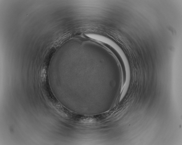 X0000111800551200908061201