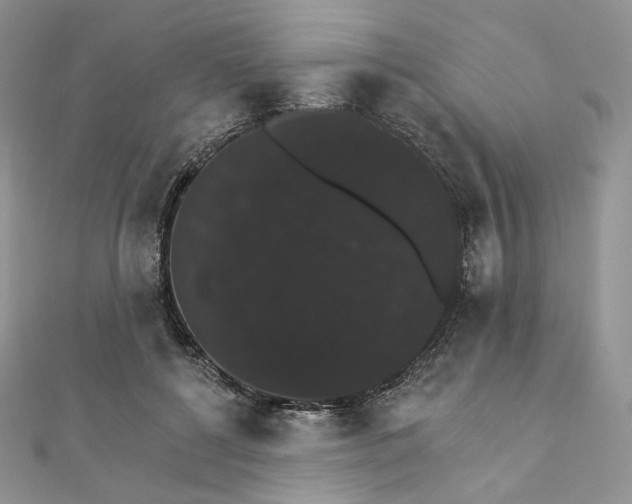X0000111800552200908061201