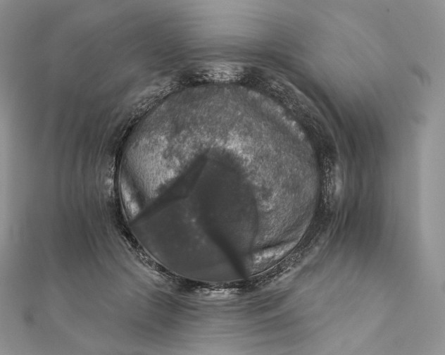 X0000111800553200908061201