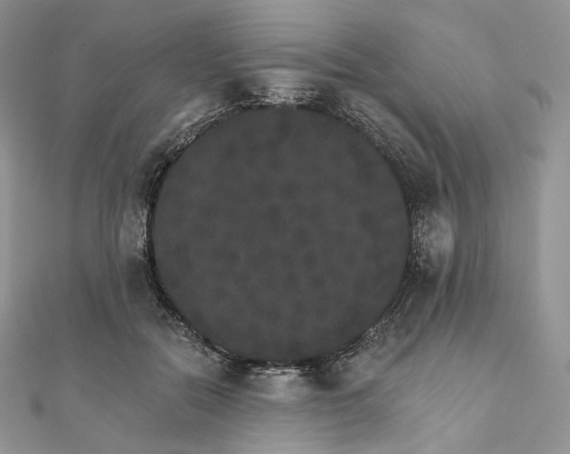 X0000111800554200908061201
