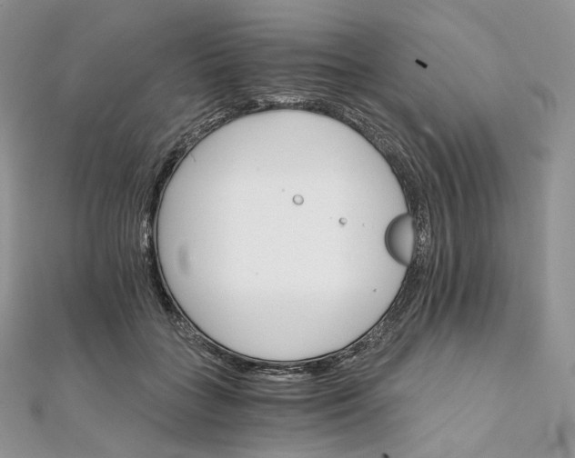 X0000111800555200908061201
