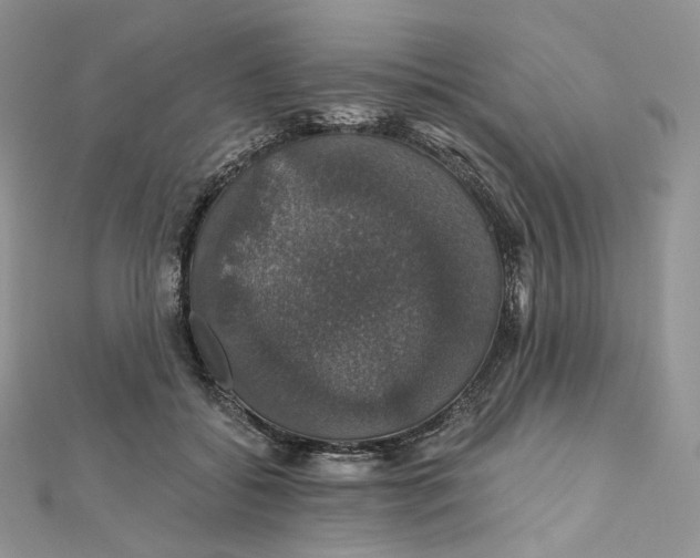 X0000111800556200908061201