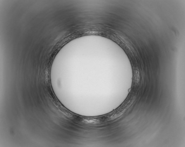 X0000111800557200908061201