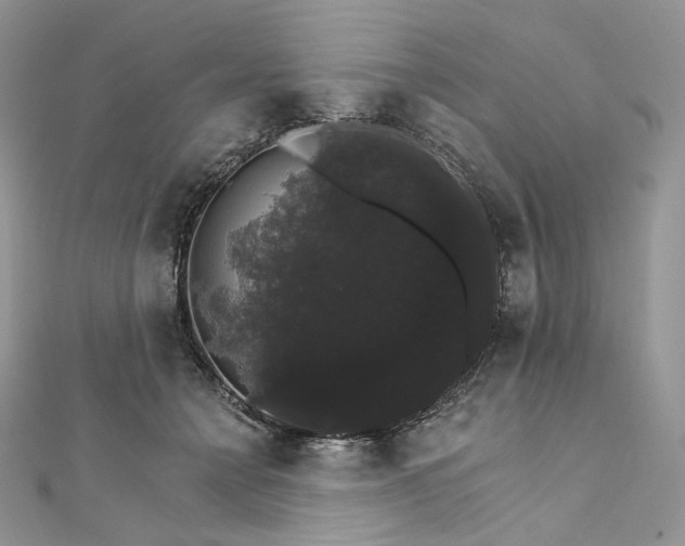 X0000111800558200908061201