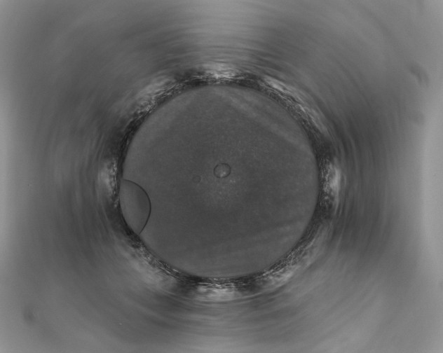 X0000111800559200908061201