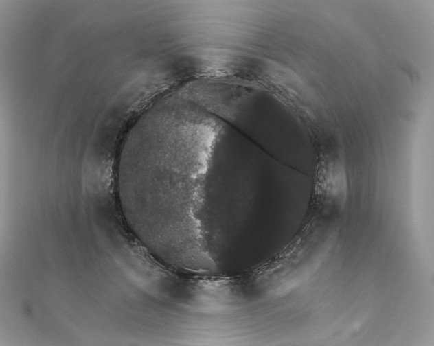 X0000111800560200908061201