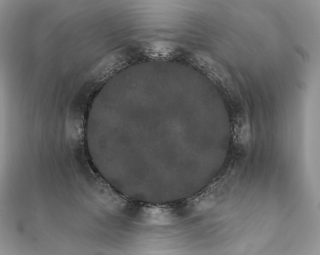 X0000111800561200908061201
