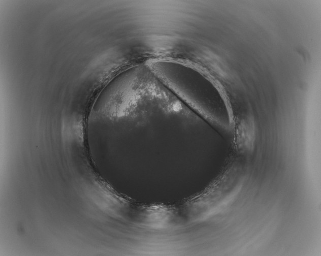 X0000111800562200908061201
