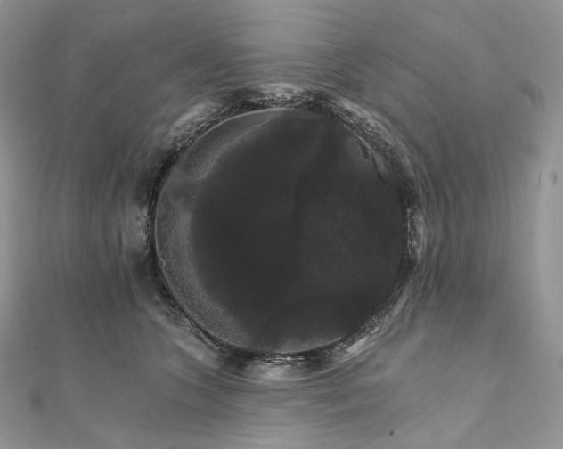 X0000111800563200908061201