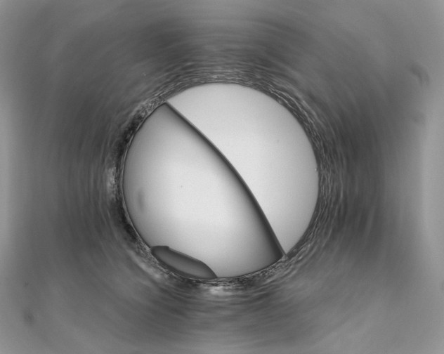 X0000111800564200908061201