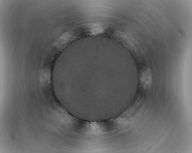 X0000111800565200908061201