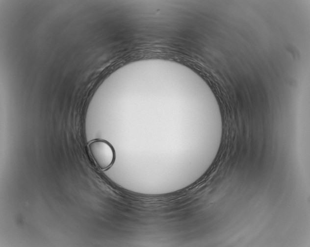 X0000111800566200908061201