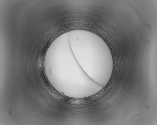 X0000111800567200908061201