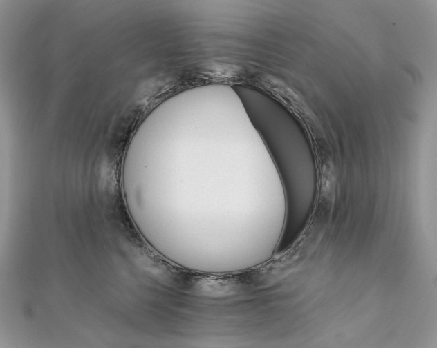 X0000111800568200908061201