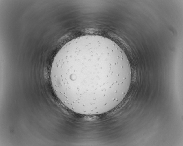 X0000111800569200908061201