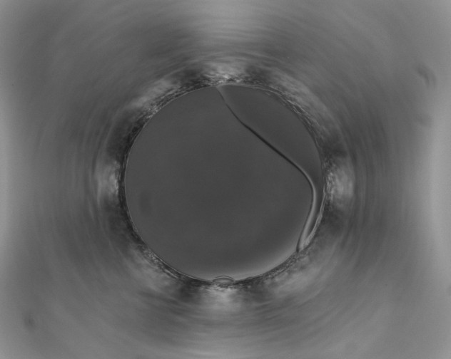 X0000111800570200908061201