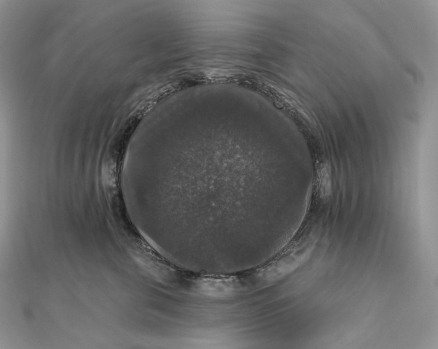 X0000111800571200908061201