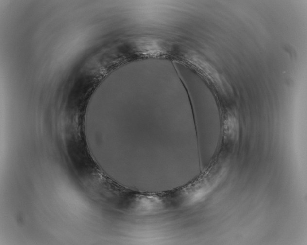 X0000111800572200908061201