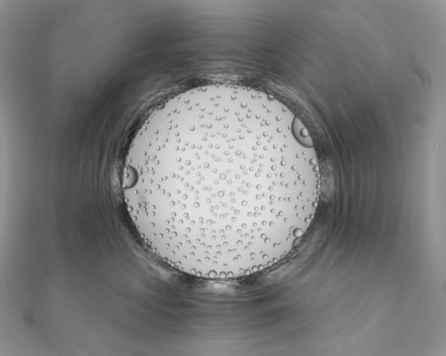 X0000111800573200908061201