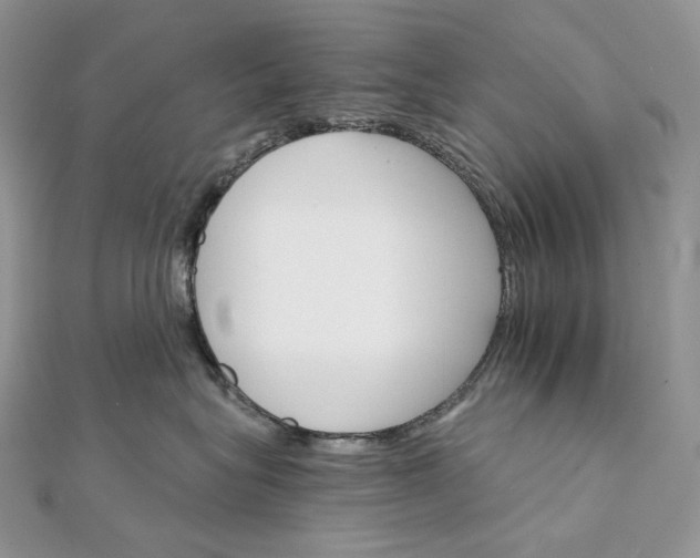 X0000111800575200908061201