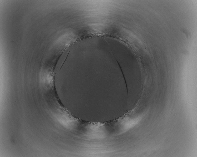 X0000111800576200908061201