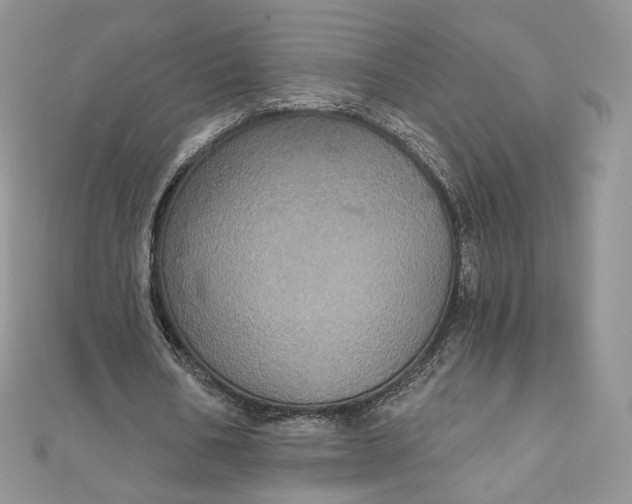 X0000111800578200908061200