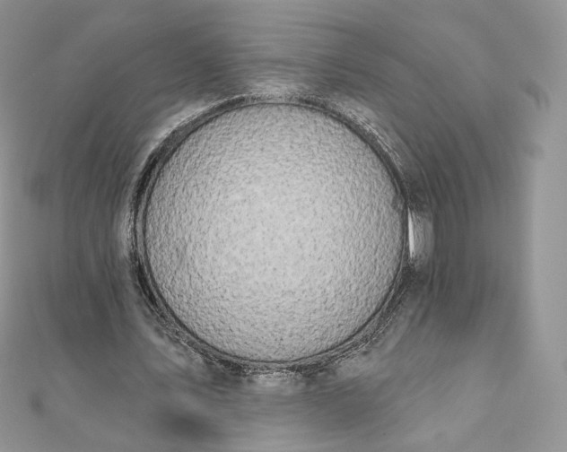 X0000111800579200908061200