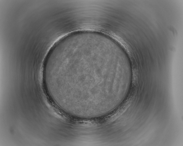 X0000111800580200908061200