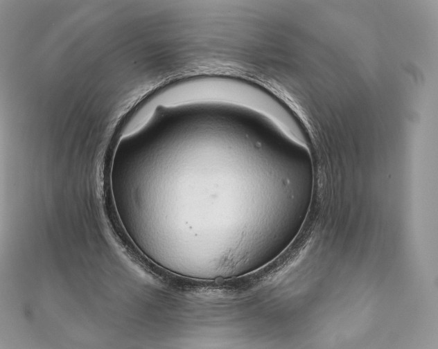 X0000111800581200908061200