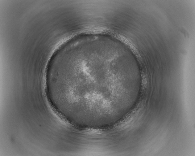 X0000111800582200908061200