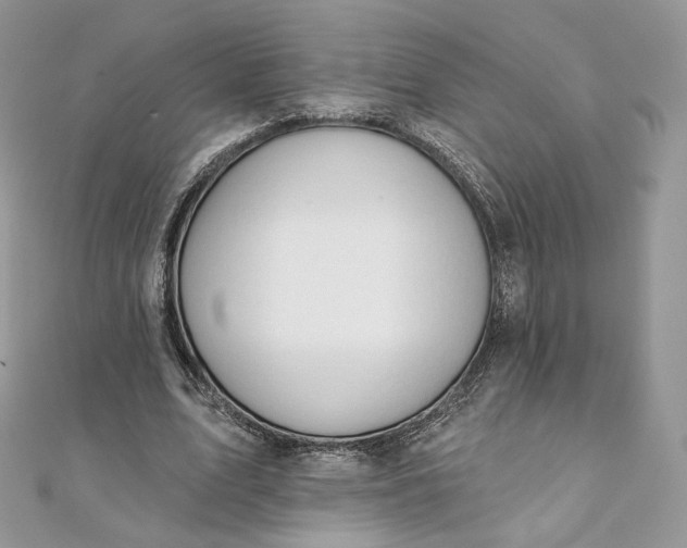 X0000111800583200908061200