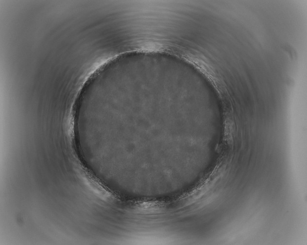 X0000111800584200908061200